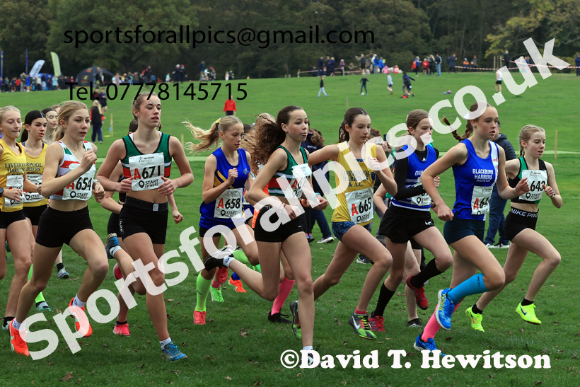 Girls Under-15s relay, 2025 Northern Cross Country Relays, Graves Park, Sheffield. Photo: David T. Hewitson/Sports for All Pics